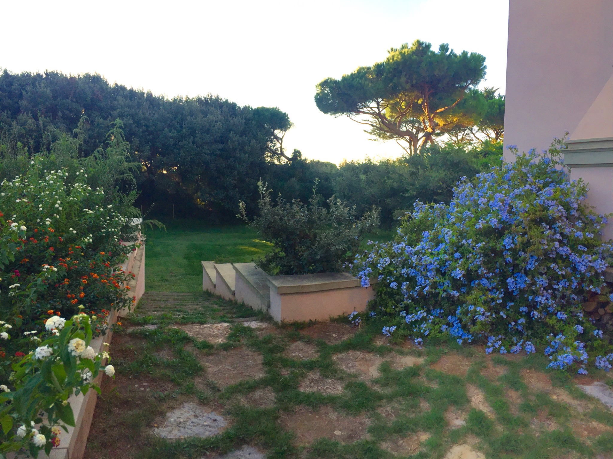 I gradini fioriti nel parco