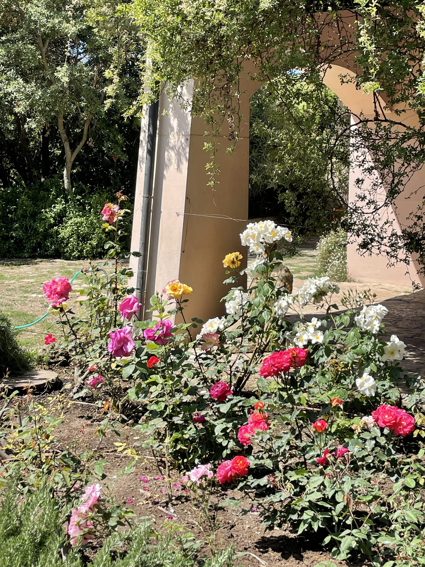 Le rose accanto alla casa