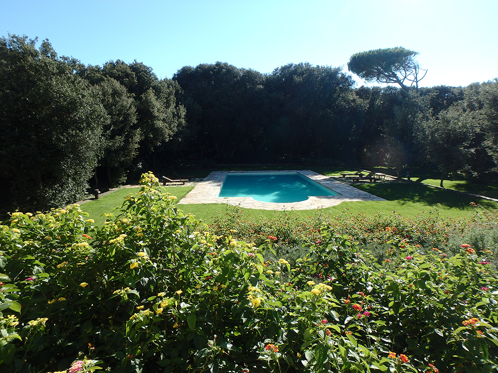 Il giardino, dall’archivio