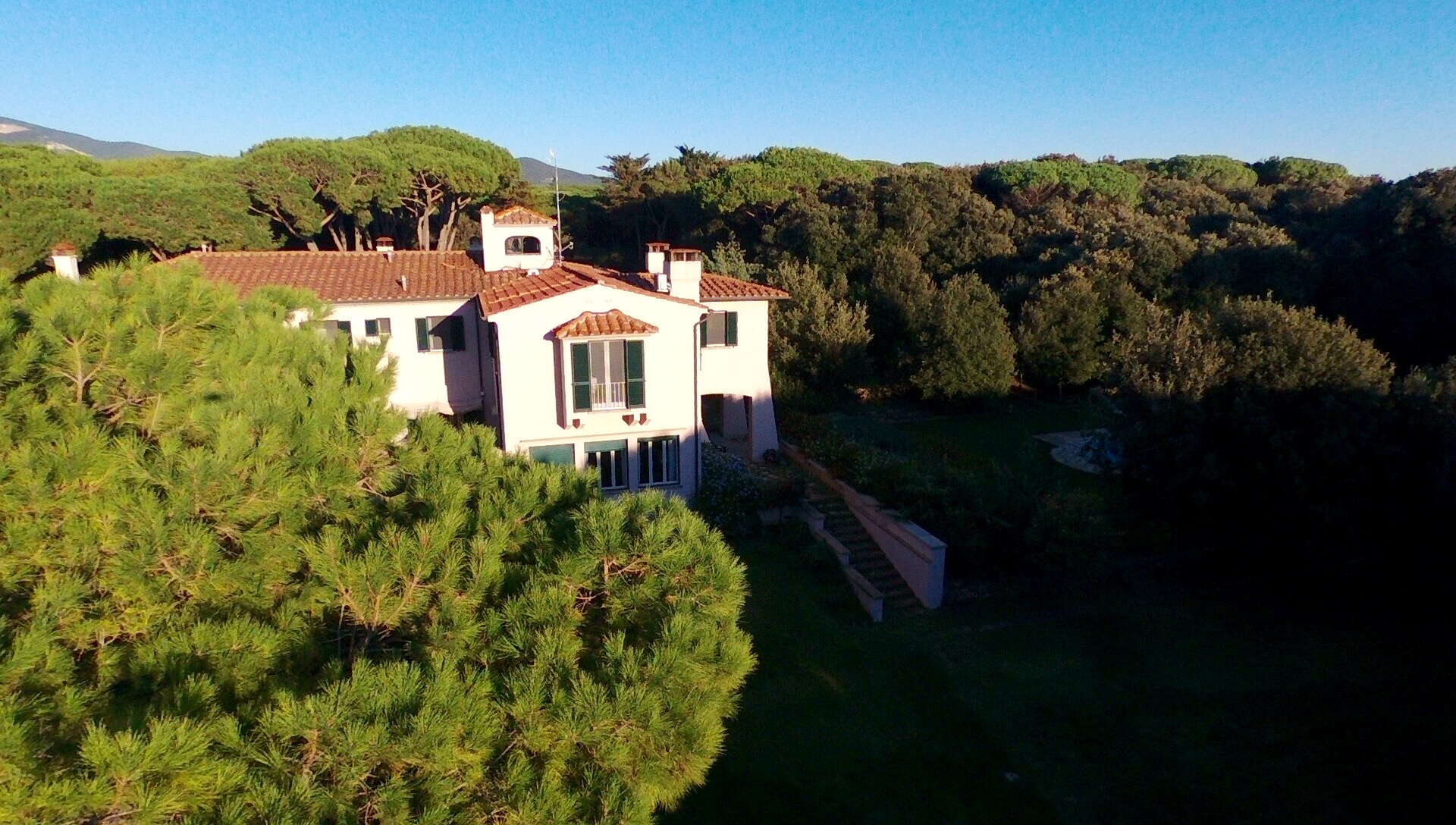 La villa immersa nella pineta